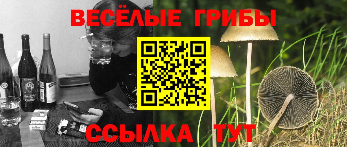 Галлюциногенные грибы мухоморы Ачхой-Мартан